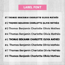 Load image into Gallery viewer, Holographic Metallic Gold Silver Name Labels Name Stickers, Custom Name Label Sticker, Personalized Label Sticker, Name Label, Name Sticker, Waterproof Stickers Waterproof Labels, for Kids, School, Daycare, Camp
